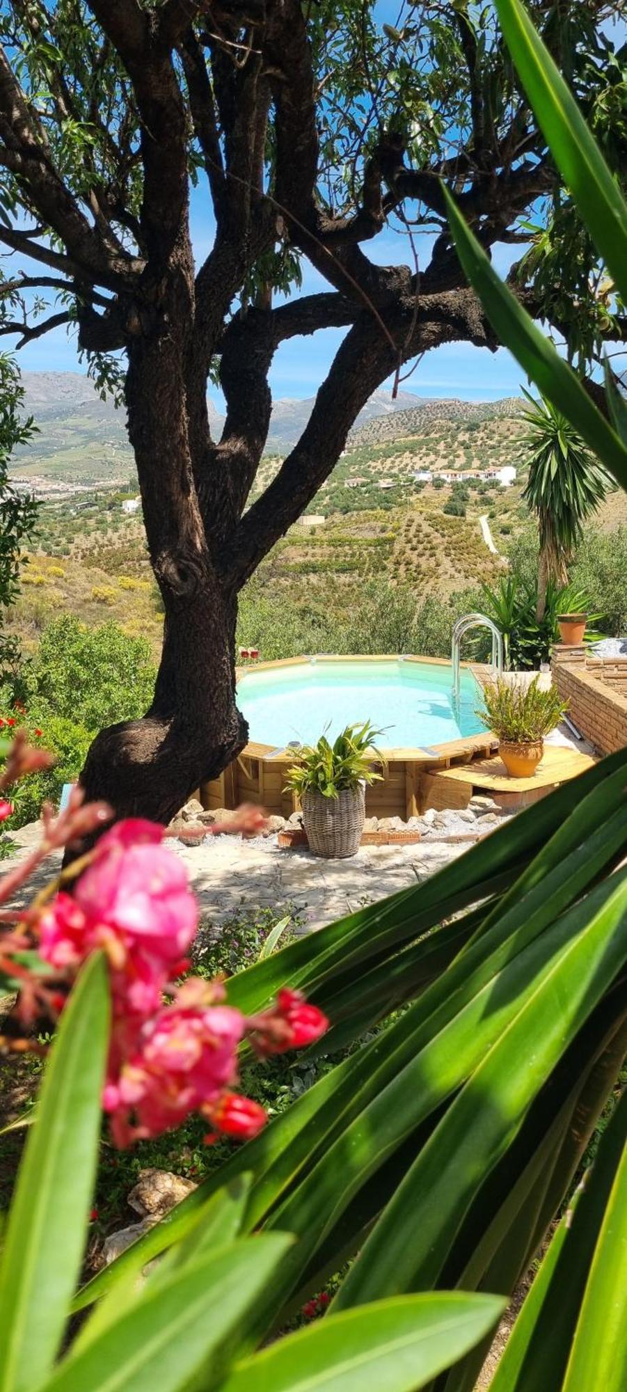 La Vista Vinuela Bed & Breakfast Dış mekan fotoğraf