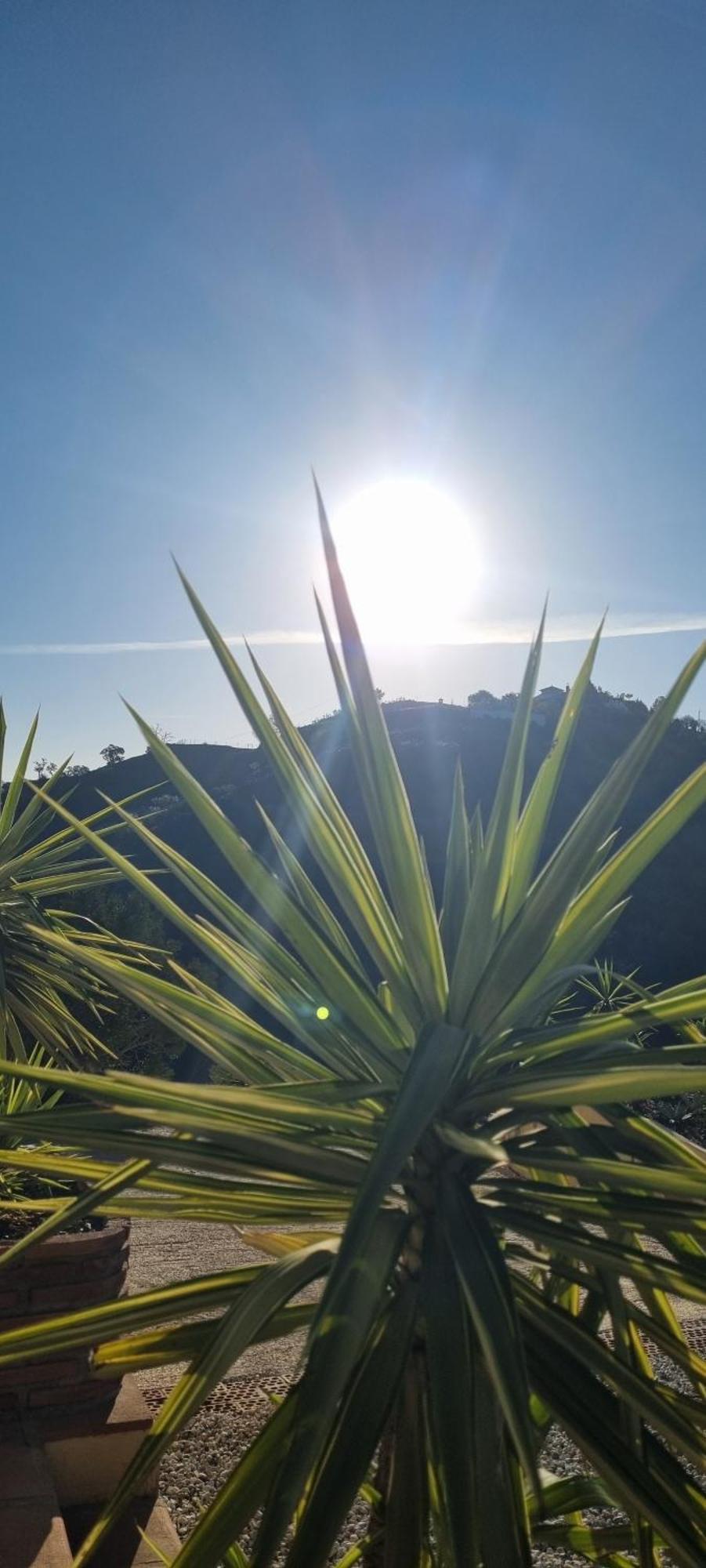 La Vista Vinuela Bed & Breakfast Dış mekan fotoğraf