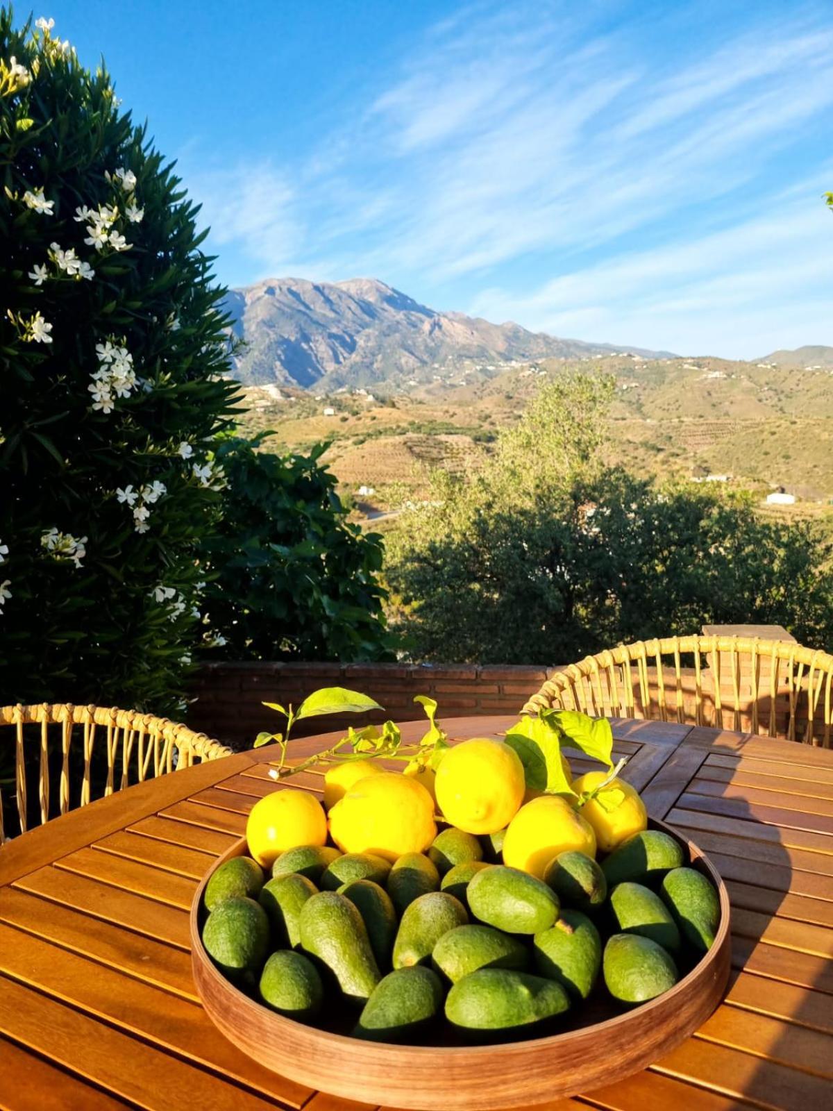 La Vista Vinuela Bed & Breakfast Dış mekan fotoğraf