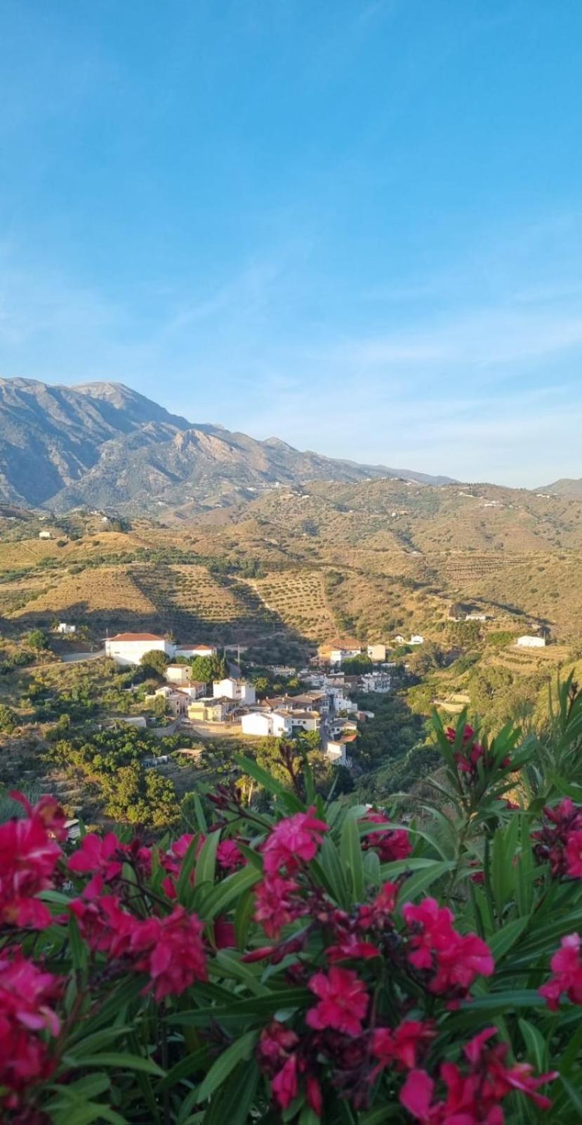 La Vista Vinuela Bed & Breakfast Dış mekan fotoğraf